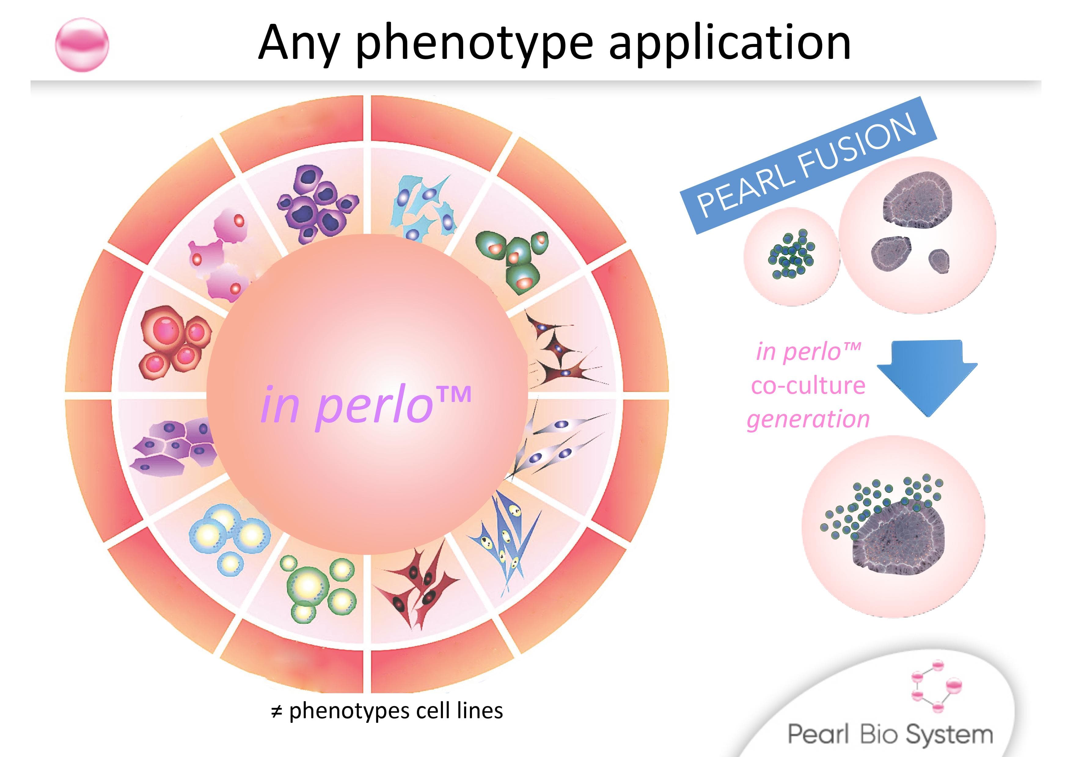 Any phenotype visual